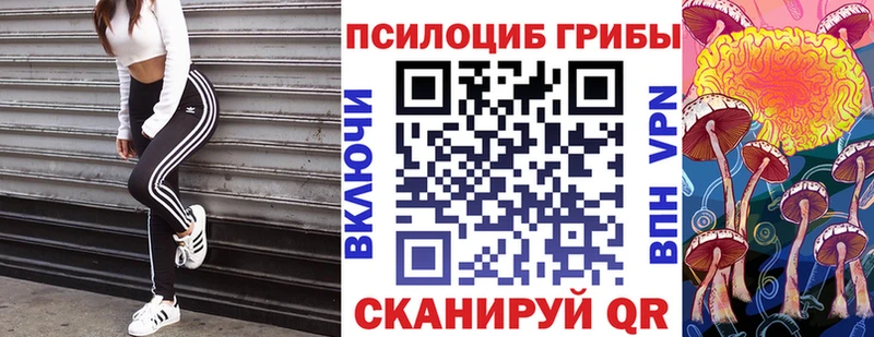 Псилоцибиновые грибы ЛСД  Юрюзань 